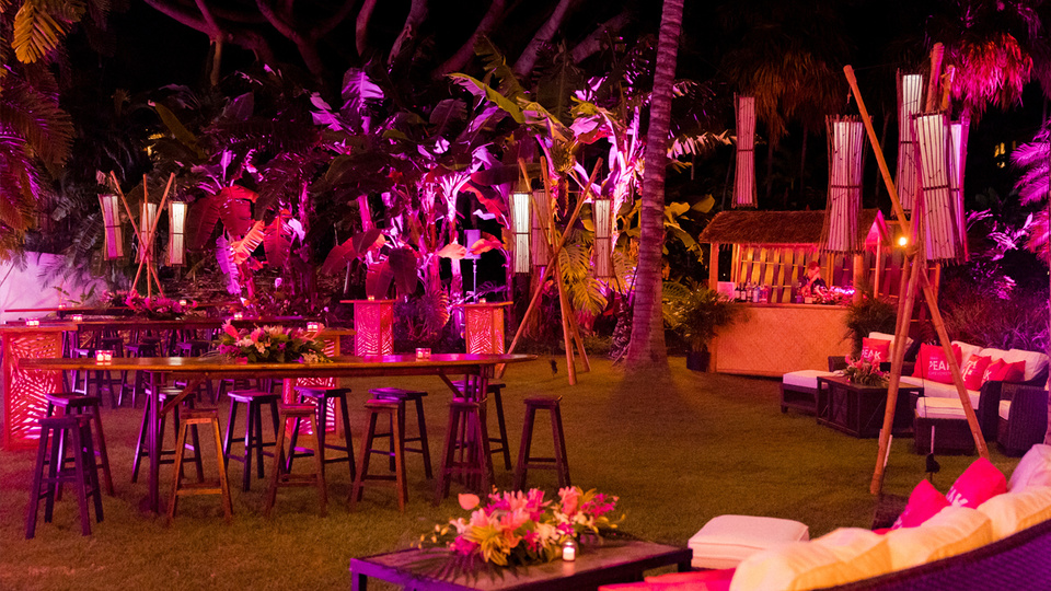 Landscape photo of a tropical outdoor space with Magenta lighting